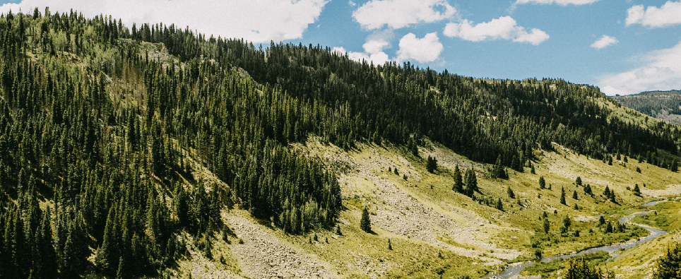 USDA Proposes Rescinding the 2001 Roadless Rule Hero